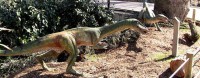 /album/fotogaleria/a42dino-1-1-jpg/